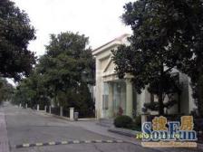 环境优美,得房率高,房型正气,独栋别墅,居家装修