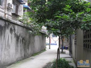 清溪东路2号3室1厅东南