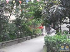石人南路31号3室1厅南北