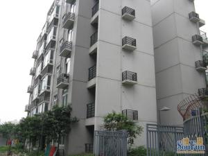 唯特郡3室2厅西南
