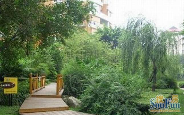 长盛续锦实景图