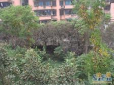 电梯房 正规3房 通透 诚心出售 居家安静 楼层好