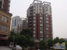 提供大量捡漏房,急售房