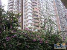 红旗河沟富悦阳光精装小户型 总价低 地理位置好