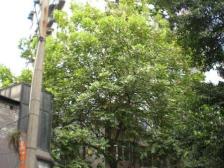 南坪 后堡一房32万