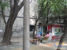 三轻轨 交通方便 电梯房 南坪商圈