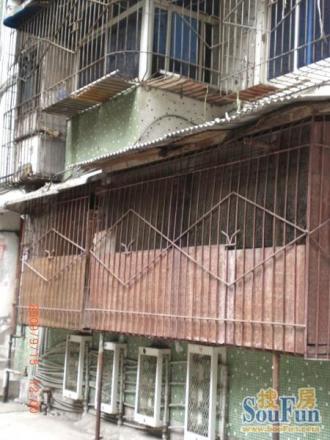 信园小区实景图