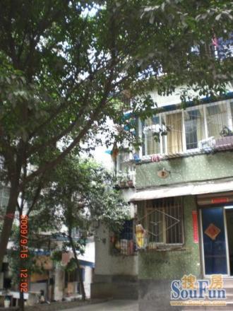 信园小区实景图