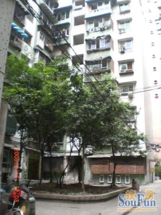 信园小区实景图