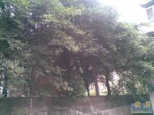 七一村 2室1厅 东