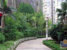 铜元局 帝豪峰三房