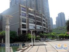 铜元局大三房双卫,保持好,楼层适中看绿化