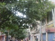 回兴 金佳步行街三房58万