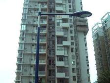 滨江50米一楼大单间总J底,上车盘