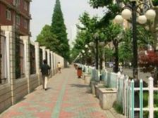 闹中取静,楼层适中,生活方便,光线充足