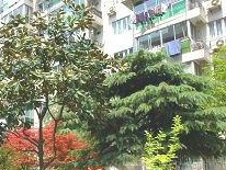 瞿西新村 2室1厅 南 北