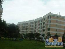 七宝·东碧林湾·3室·2厅