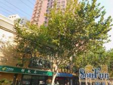 万体馆·北海大厦·3室·0厅