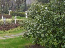 旅顺路79号 1室0厅 南