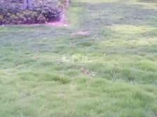 位置无二,价格诱人,产权清晰,此房满5,税费各付