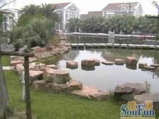 位置无二,价格诱人,产权清晰,此房满5,税费各付