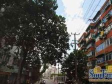 万安路979弄小区1室南朝向140.00万元/套出售