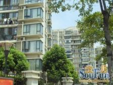 南北通透,一梯两户,环境优美,小区中心位置,精装修,诚意出售