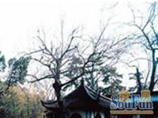 佳乐苑 3室2厅 南 北