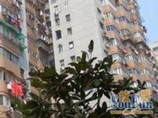 市益大楼2室南朝向500.00万元/套出售