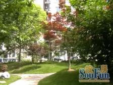 400万精装!带50平米大花园!内环内低密度小区!