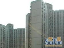 电梯高区 景观好 满五 随时可看