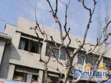 商品房小区 1梯2户 1997年房龄 高区楼层 诚心出售