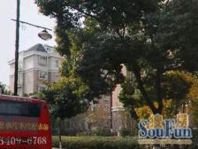 莘庄大平层业主置换视野好随时看房客厅可打羽毛球