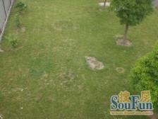 金水湾 4室2厅3卫 南