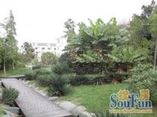 产权清晰 无抵押 现场实勘 必看好房