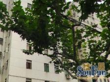 东港公寓1室0厅南