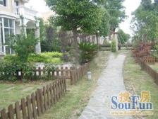 青浦徐泾大区优质商品房,生活设施齐全