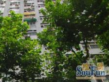 梧桐树下巨鹿路低总价低单价电梯房