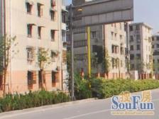 电梯房,电梯房,厅有窗,全明户型,好房出售