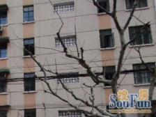 光新·信仪新村·2室·1厅