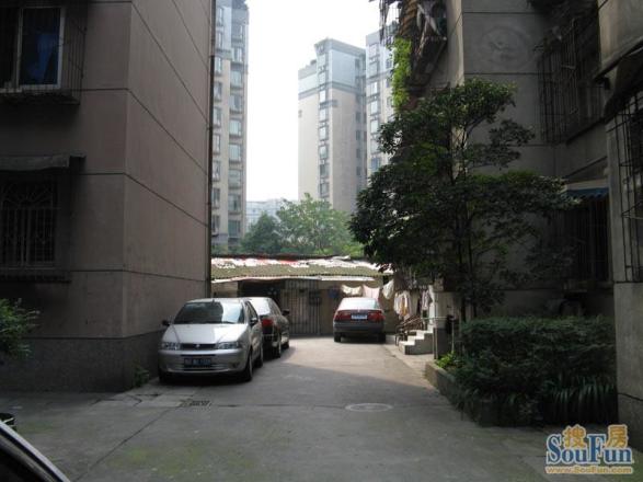 抚琴西路250号院实景图