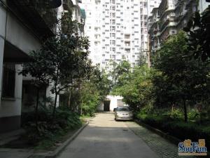 同心苑(金牛)3室2厅东南