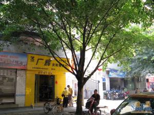 西丽苑2室1厅南