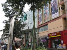 永陵路7号 4室1厅 东南