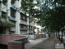 房子是正两房 看中庭 安静 喜来登夜景很漂亮