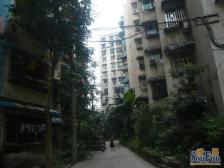 南坪东路 园丁园二房53万