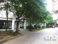 第二教师村 3室2厅 南 北