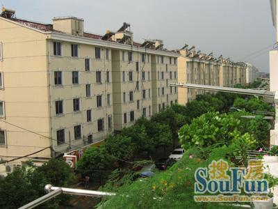 泰南新村实景图