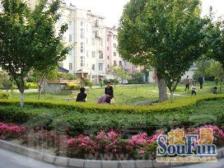 奉贤 泰南新村 2室1厅