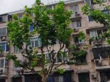 宝藏小三房 交通便利 房东诚心出售